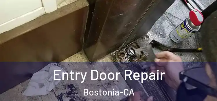  Entry Door Repair Bostonia-CA