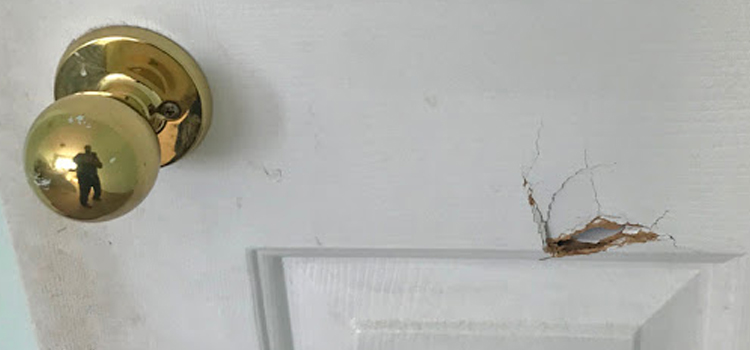 interior door hole repair Bostonia