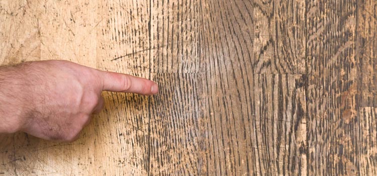 Wood Door Scratch Repair in Bostonia